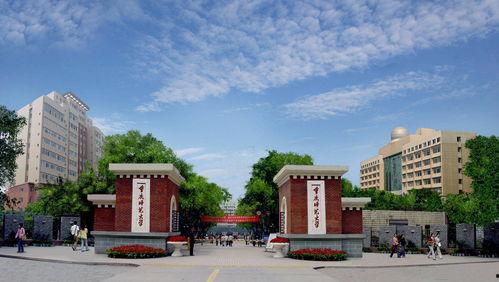 岭南师范学院吃瓜事件,校园风波背后的真相探寻