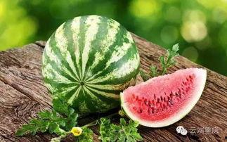 吃捧瓜去皮吗视频,揭秘吃捧瓜去皮的秘密