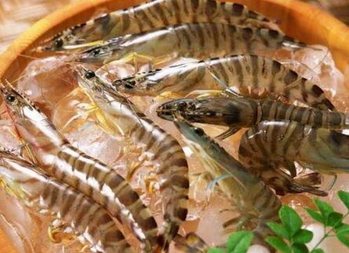 带你吃瓜逮虾,带你走进“吃瓜逮虾”的欢乐世界