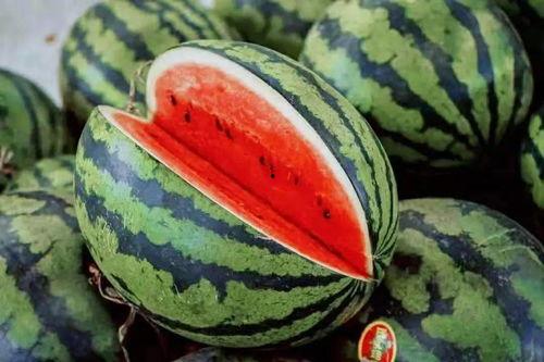 近期的各种吃瓜门,2023年度娱乐圈“吃瓜”大事件盘点