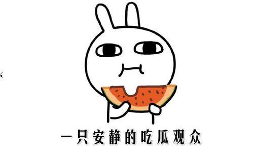 吃瓜 意思,揭秘“吃瓜群众”背后的网络现象