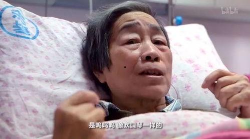 吃瓜像吹口琴,吹口琴般的趣味食趣